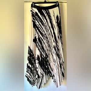 Express Pleated Skirt with Lining - Unique and Edgy